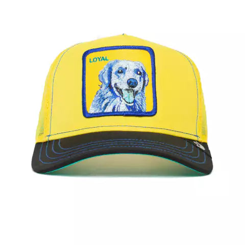 DOGGY TRIP PERRO - LOYAL YELLOW