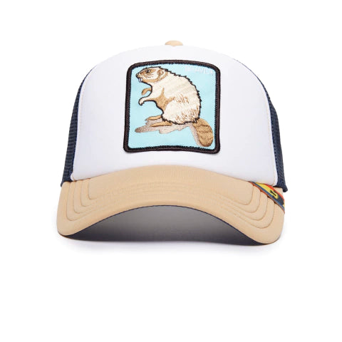 BEAVER CASTOR - NUEVA COLECCION