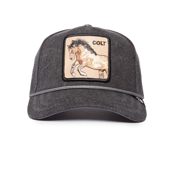 CABALLO COLT BUCKING DUCK - NUEVA COLECCIÓN