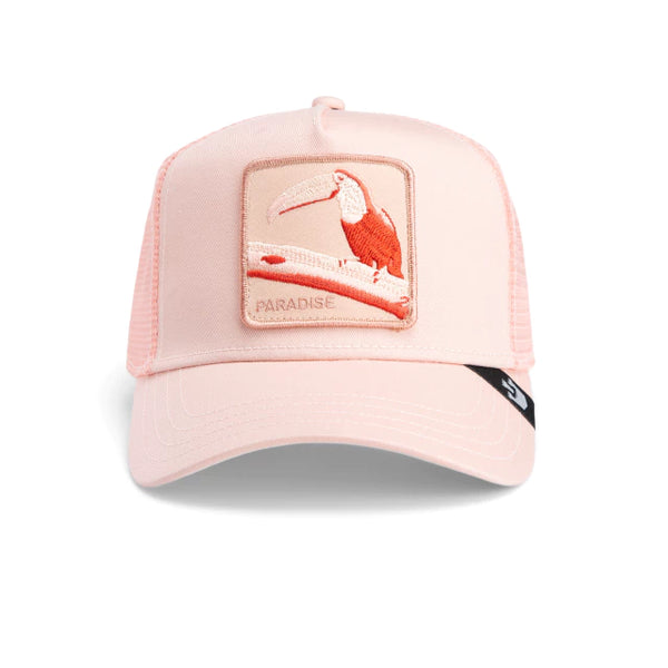 TOUCAN MIRAGE  CORAL - PARADISE