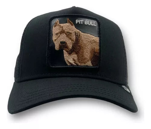 PIT BULL BLACK